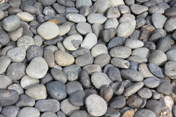 Piedras de guijarro — Foto de Stock