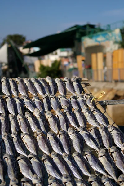 Соленые рыбы Гонконга — стоковое фото