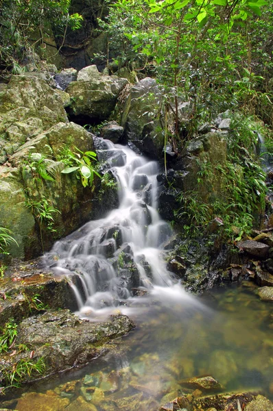 stock image Waterfall