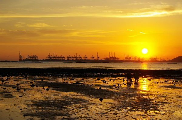 Ηλιοβασίλεμα κατά μήκος της ακτής — Φωτογραφία Αρχείου