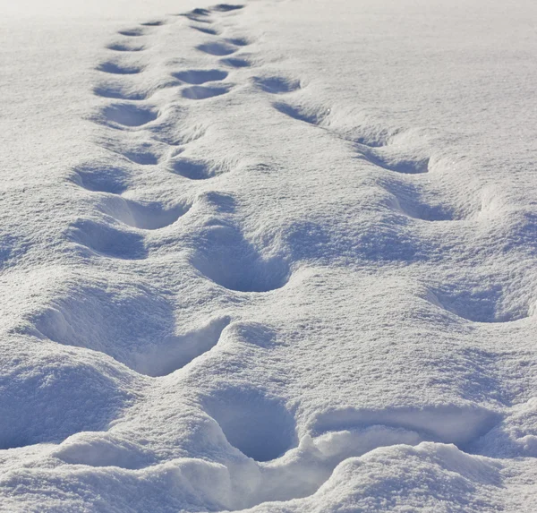 stock image Fresh white snow background