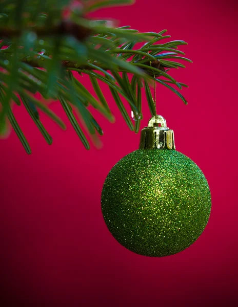 Bauble festivo su pino — Foto Stock