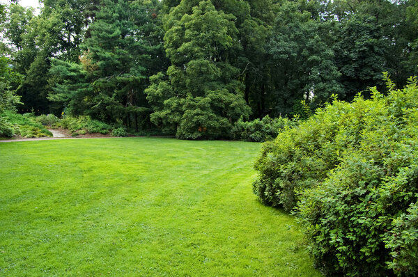 Green lawn in the Moscow botanical garden, surrounded with bushes and trees