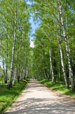 yasnaya polyana sokakta