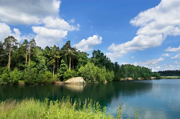 stock image Small lake among wood