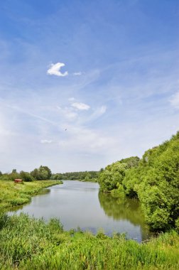 The pond which has grown with a green duckweed in village clipart