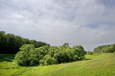 bir çim ve bir çalı ile kaplı tepeler