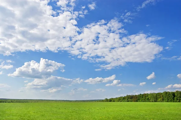 stock image Green gield, blue sky, white clouds