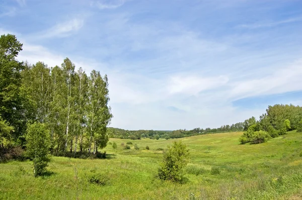 Dealurile de iarbă — Fotografie, imagine de stoc