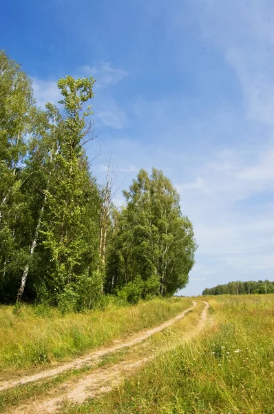 stock image Field road and wood