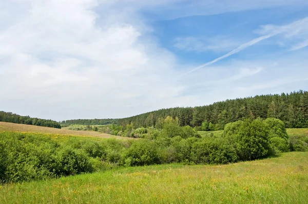 Stock image Hills of grass