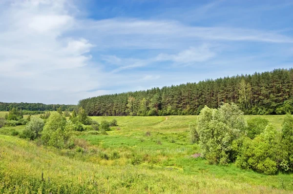 stock image The hills covered with a grass and a bush