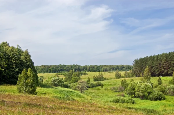 Wzgórza Pokryte Trawy Krzaków — Zdjęcie stockowe