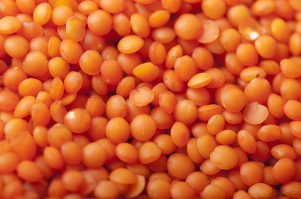 stock image Red lentils