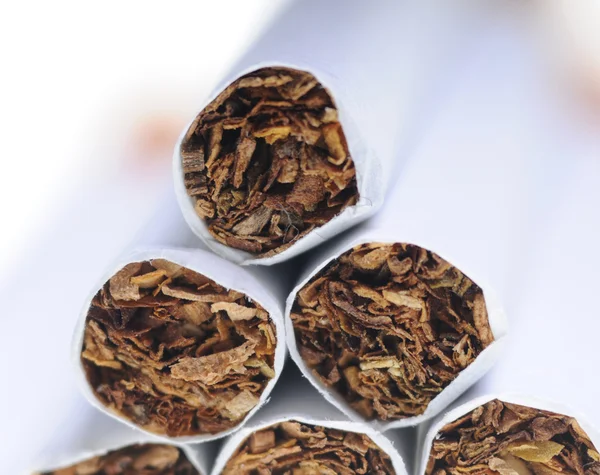 Néhány cigaretta — Stock Fotó