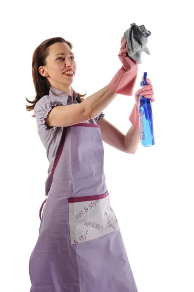 Housewife with cleaning supplies — Stock Photo, Image