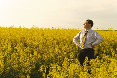 Manager in flowering rape field clipart