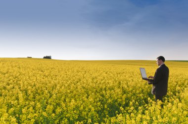 Adult manager in a suit stands with his laptop computer in a yellow flowering rape field in the evening sun. clipart