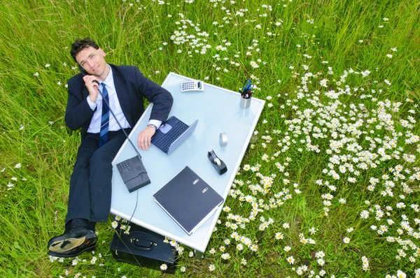 Adult Manager Works Suit Desk Open Middle Field Flowers Smiling — Stock Photo, Image