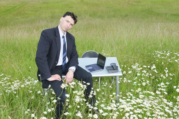 Dospělé Manager Funguje Obleku Stolem Otevřené Uprostřed Pole Květin Usmívá — Stock fotografie