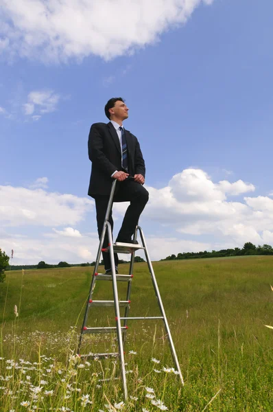 Businessman Manager Dark Suit Stands Middle Meadow Career Ladder Looks — Stock Photo, Image