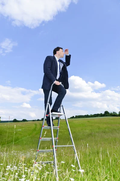 Businessman Manager Dark Suit Stands Middle Meadow Career Ladder Looks — Stock Photo, Image