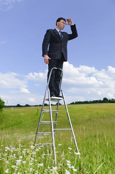 ビジネスマン ダークスーツでマネージャー 経歴はしごで牧草地の真ん中に立っているし 天の雲と風景に見えます — ストック写真