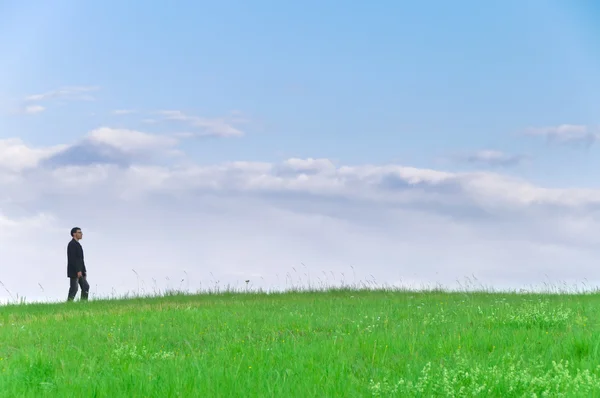 Zakenman Pak Staande Een Weide Ziet Verte Voor Wolken — Stockfoto