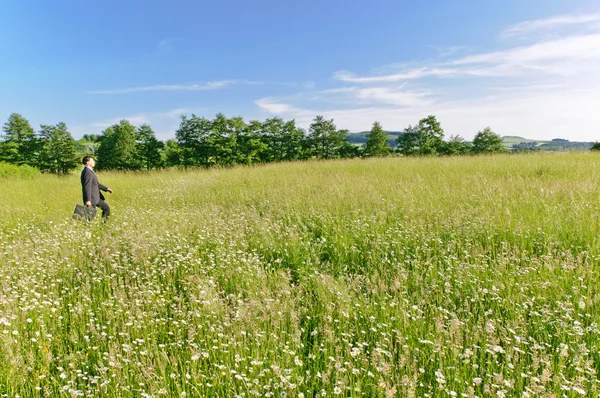 Manager walking in a meadow, looking — Stock Photo, Image