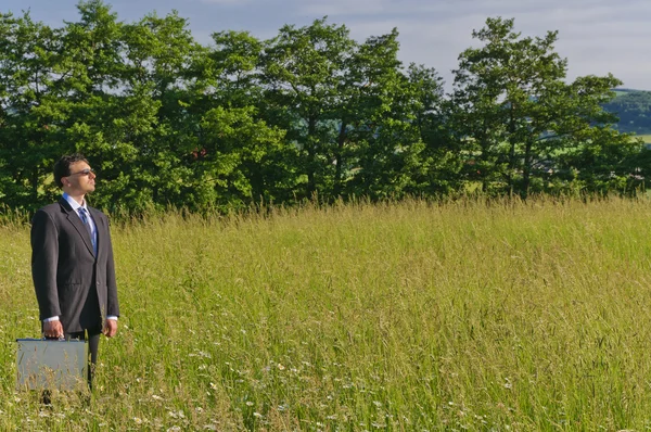 Manager standing in a meadow, looking — Stock Photo, Image