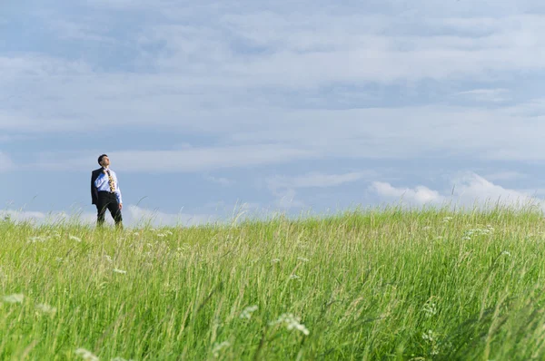 Businessman Suit Standing Meadow Looks Distance Front Clouds Stock Photo