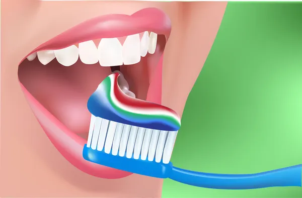 Açık ağız bir kadınla sağlıklı beyaz dişleri temizler. diş- — Stok Vektör