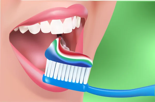 開いた口を持つ女性は健康な白い歯をクリーンアップします。歯- ロイヤリティフリーストックベクター