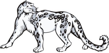 Snow leopard design clipart