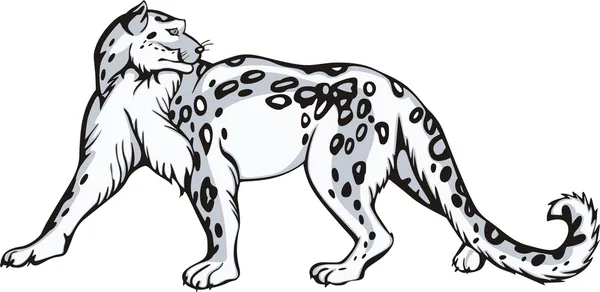 Diseño de leopardo de nieve — Vector de stock
