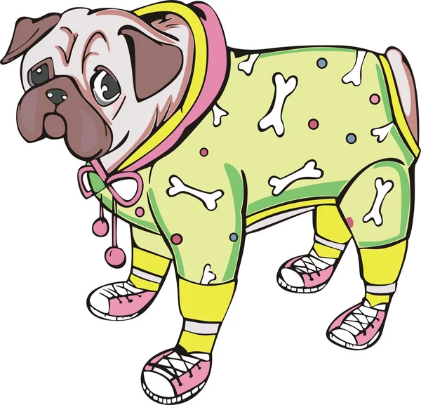 素敵な服を着て犬 パグ犬 の散歩のベクトル Eps イラスト — ストックベクタ