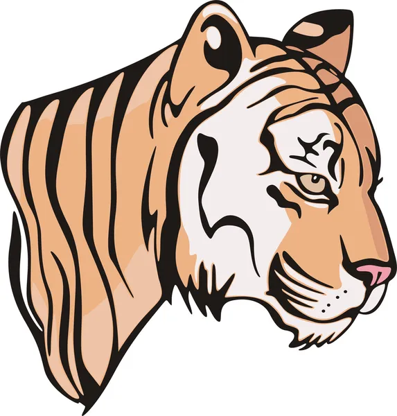 Ilustracja Miły Mały Tygrysa Cub Wektorowej Eps — Wektor stockowy