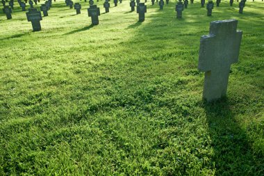 Cemetery with crosses in grass during sunset clipart