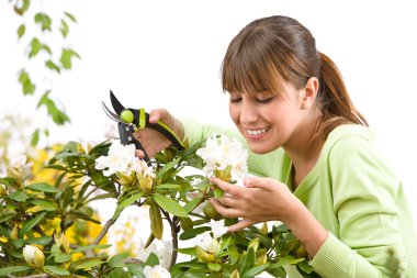 Gardening - woman cutting flower with pruning shears clipart