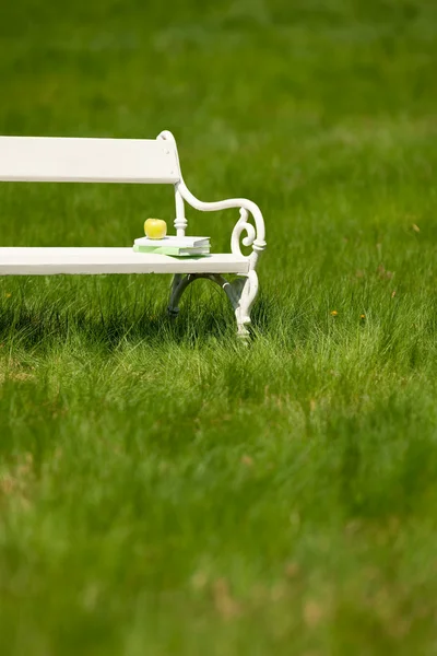 Primavera e verão - Banco romântico branco no prado — Fotografia de Stock