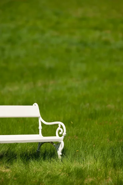 春天和夏天 白色浪漫长椅在草地上阳光灿烂的日子 — 图库照片