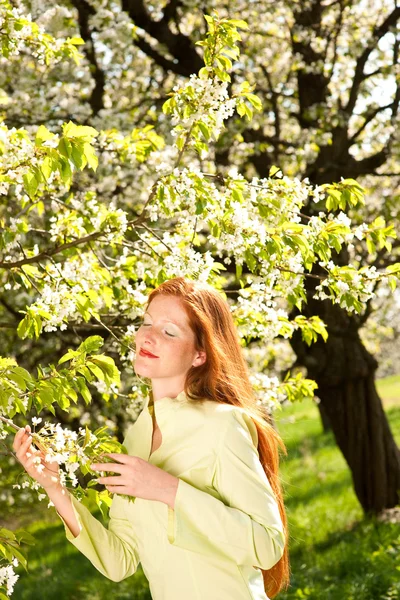 Jeune femme profitant du printemps sous un arbre à fleurs — Photo