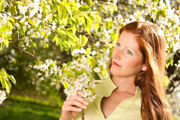 咲いている桜の木の枝を持つ若い赤髪の女性 — ストック写真