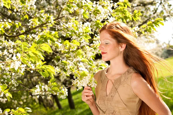 Hermosa Mujer Joven Oliendo Flor Cerezo Día Soleado —  Fotos de Stock