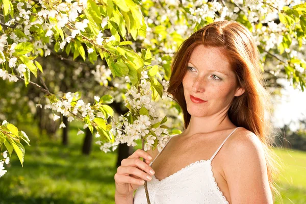 Güneşli Bir Çiçek Açan Ağacın Altında Beyaz Elbiseli Genç Kadın — Stok fotoğraf