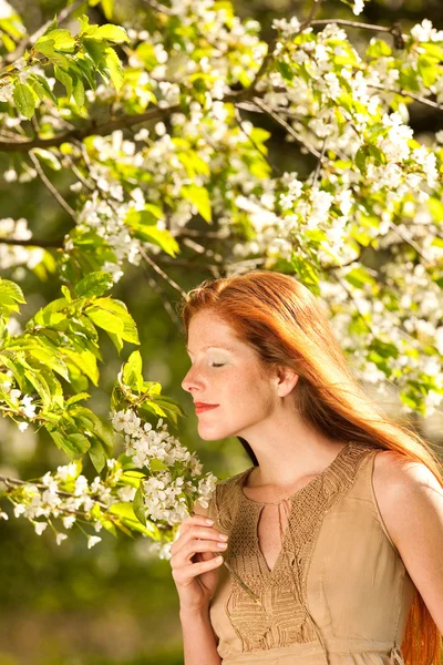 Beautiful Woman Brown Dress Standing Blooming Tree Enjoying Smell — Stock Photo, Image