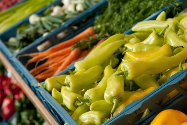 Belanja toko kelontong Pendekatan sayuran — Stok Foto