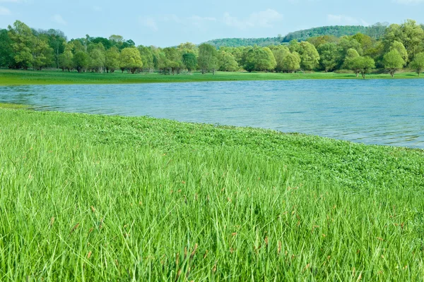 stock image Green meadows with natural mountain lake on a sunny summer day