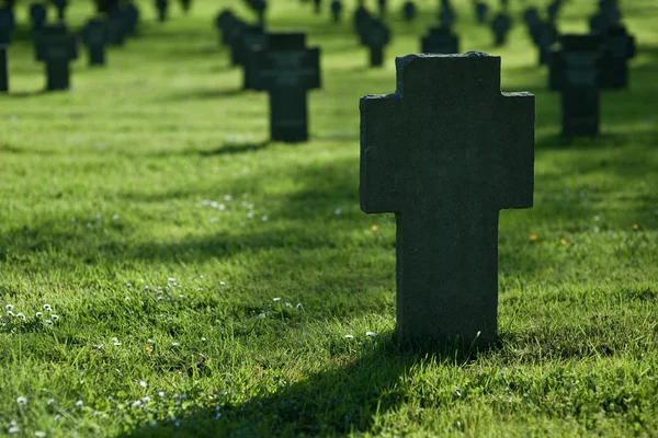 Crosses in grass on cemetery — Stock Photo, Image