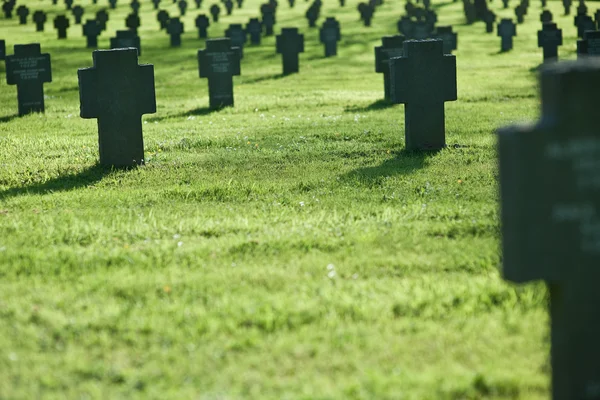 Fila de cruces en cementerio con hierba —  Fotos de Stock